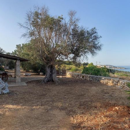 Levante E Libeccio Villette Vista Mare - Marina Di Андрано Екстер'єр фото