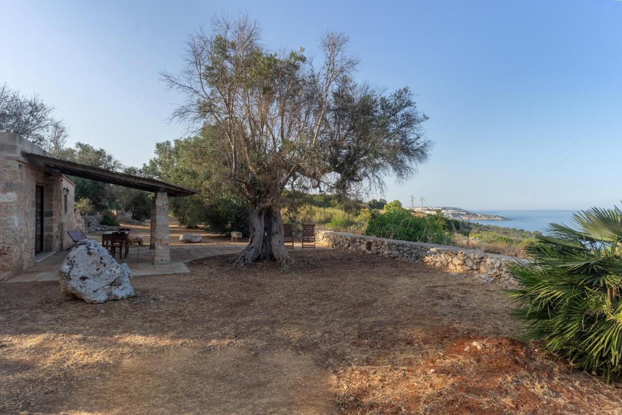 Levante E Libeccio Villette Vista Mare - Marina Di Андрано Екстер'єр фото